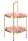 Table d'appoint ronde moderne rose à 2 niveaux pour salon et chambre à coucher Table basse en fer pour petits espaces Meuble décoratif élégant