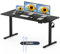 FLEXISPOT 160 x 80cm Electric Standing Desk ONE PIECE Height Adjustable Desk Sit Stand Desk with 4 Memory Smart Pannel and Backpack Hook for Home Office, (Black Frame+Black Desktop)