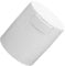 VICASKY Professional Eyelash Glue Storage Jar Airtight Eyelash Glue Container for Salon