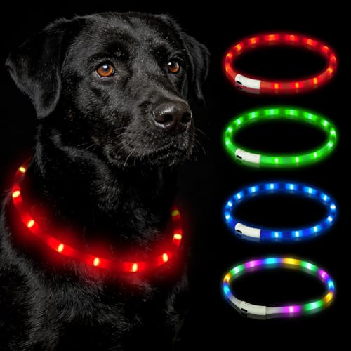 HOTUT Leuchthalsband Hund USB Aufladbar,LED Hundehalsband Leuchtend Wasserdicht mit 3 Beleuchtungsmodi,Verstellbarer Länge,LED Hunde Halsband wiederaufladbar für Kleine,Mittlere,Große Hunde(Rot)