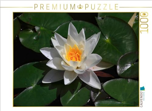 CALVENDO Puzzle Malerisch | 1000 Teile Lege-Größe 64 x 48 cm Foto-Puzzle für glückliche Stunden