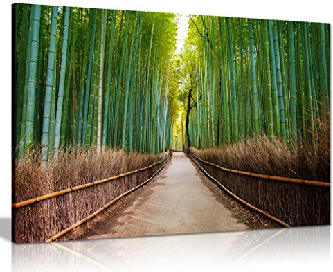 Bamboo Forest Japan Green Trees Canvas Wall Art Picture Print (18x12)