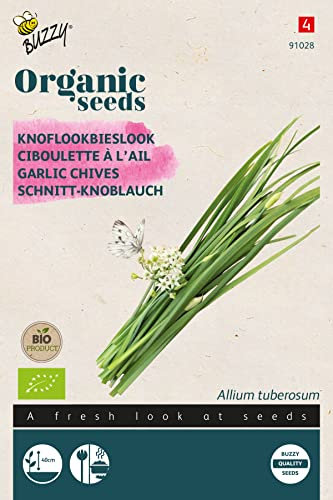 Buzzy Organic Chinese Garlic Chives (BIO)