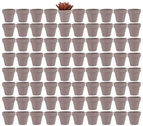 Yishang Kleine Terrakotta-Töpfe mit Drainagelöchern, Mini-Ton-Keramik-Pflanzgefäß, Kakteen-Blumentöpfe, Terrakotta-Töpfe, für Innen- und Außenbereich, Sukkulenten, Basteln, 5,1 cm, Grau, 80 Stück