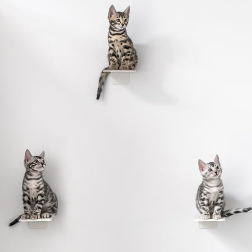 AZANO®️ Katzentreppe 3er Set | Kletterwand Katzen | Katzenleiter Wand [Modernes Design aus Metall] | Katzentreppe Wand | Katzenleiter | Katzenmöbel zum Klettern | S 16x12cm| (Weiß - Filz)