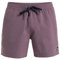 Quiksilver Boardshort Everyday Solid Volley 15 Homme Violet XXL