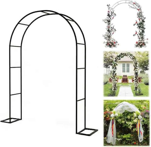 Arche de jardin en métal solide pour roses grimpantes Noir et blanc 1,2 m x 2,2 m