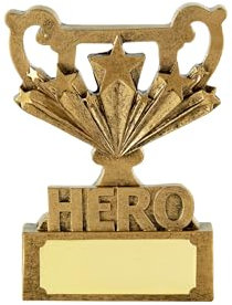 SilverTrophy: Hero Trophy - Gold Star Award, You're a Hero, Congratulations, Superhero, Lifesaver, Well Done, Employee Recognition, Schools, Winner, Champion Gold Mini Trophy Gift Engraving Plate
