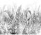 decomonkey - Papier Peint Panoramique Plantes 350x256 cm - Décoration murale moderne – Tapisserie décorative pour chambre salon - Paysage feuilles nature plantes