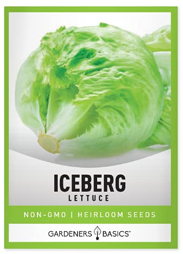 Gardeners Basics, Iceberg Lettuce Seeds for Planting - (Head) Heirloom, Non-GMO Vegetable Variety- 2 Grams Seeds Great for Spring, Summer, Fall, Winter Garden and Hydroponics