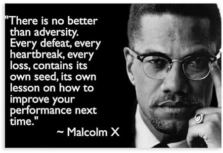 Malcolm X Zitat Leinwand Poster Schlafzimmer Dekor Sport Landschaft Büro Zimmer Dekor Geschenk ungerahmt 30 x 45 cm