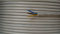 CAVI AL METRO CAVO FG16OR16 MULTIPOLARE FG16 3 CONDUTTORI DA 2.5MMQ CON GIALLO VERDE FG7-3GX2,5 FG16OR16-3GX2,5