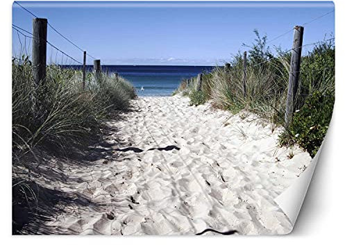 Feeby Papier Peint Intisse Plage Mer Ciel 300x210 cm beige Moderne Panoramique XXL Photo Mural Muraux Chambre Bureau Salle Chemin De La Plage Herbe