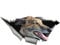Aufkleber Kreative Tier Windhund Lustige Auto-Aufkleber Heftiges Metall Brindle Wind Aufkleber Reflektierende Aufkleber Skateboard-Auto-Dekor KK13 * 6cm(26cm x 12cm)