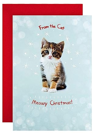Hallmark RSPCA Weihnachtskarte von der Katze, niedliches Foto-Design