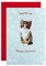 Hallmark RSPCA Weihnachtskarte von der Katze, niedliches Foto-Design
