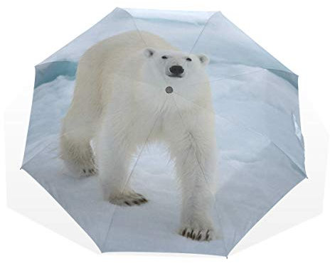 Rootti Regenschirm, 3 Falten, leicht, Eisbär-Druck, Ein-Knopf, automatisches Öffnen und Schließen, winddicht, für Kinder, Damen und Herren