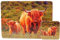 LP Platzsets und Untersetzer Highland Cow On Moors Scene 4 Stück