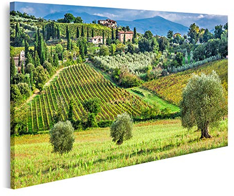 islandburner Bild auf Leinwand Weinberge Olivenbäume Kleines Dorf Toskana Italien Bilder Wandbilder Poster