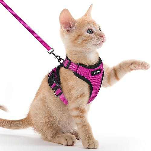 rabbitgoo Harnais Chat Anti évasion avec Laisse Rose Rouge XXS, Harnais Chaton Petit Chien Réglable, Collier Harnais et Laisses pour Chat Refléchissant Attache Dessus Gilet Respirant pour Lapin Chiot