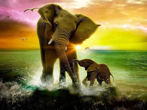 Bimkole DIY 5D Diamond Painting Zubehör Elefant, Kunstmalerei Ozean Diamant Malerei Kit Voll Runde Bohrer Malen nach Zahlen Malerei Stickerei Kreuzstich Diamond Dekoration (30x40 cm)