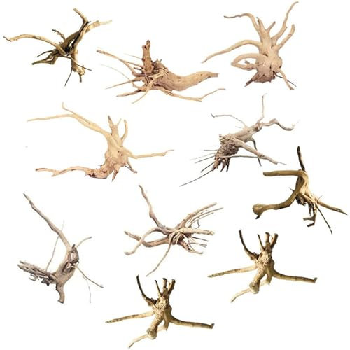 Dasertoe Mini Bois Flotté pour Aquarium Branches en Bois Naturel DéCorations D'Aquarium Tronc d'arbre Bois Flotté Assorti (10 Pack)