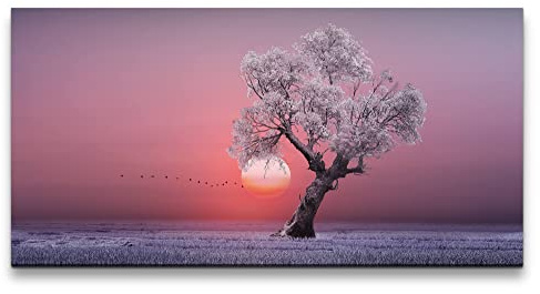 Paul Sinus Wandbild 120x60cm Magischer Baum – Romantischer Sonnenuntergang und Fokus auf Natur.