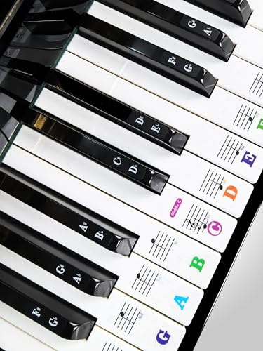 YPTSYSYS Piano Keyboard Stickers for 88/76/61/54/49/37 Key. Large Bold Colorful Letter Piano Stickers Perfect for Kids Learning Piano. Multi-Color,Transparent,Removable(Staff Paper)