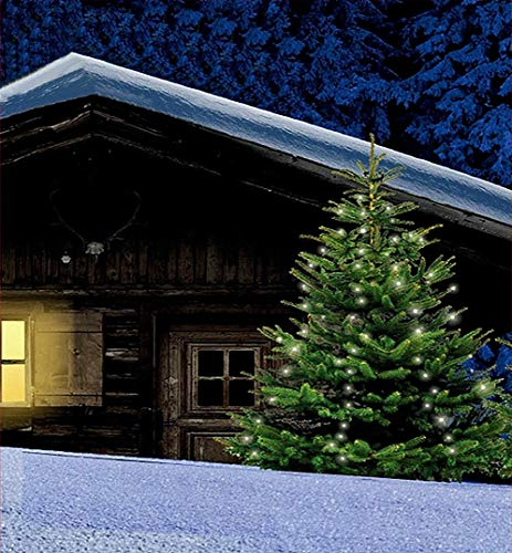 Star-Max Lichterschnüre mit 160 LEDs - 8 Stränge je 2m