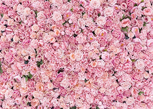 BINQOO 2,4 x 1,8 m rosa Blumen Hintergründe rosa Rose Wandhintergrund Mädchen Frauen Geburtstag Frühling Tee Party Rosa Floral Hintergrund Jäten Brautdusche Jubiläum Zeremonie Dekor