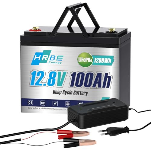 HRBEENERGY Batterie LiFepo4 12V 100Ah, Rechargeable batterie au lithium portable avec 100A Protection BMS et 4000-15000 Cycles, Parfait pour Camping-Car, Système Solaire, Bateaux