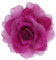 Broche en tissu rose surdimensionnée de 20,3 cm, pour femme et homme, mariage, fête et robes, Tissu, fleur en tissu rose
