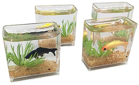 Quadratisches/rundes Mini-Aquarium, realistisches Glasdekor für Puppenhaus, faszinierende Miniatur, zum Basteln, Ornamente, handgefertigte Landschaft