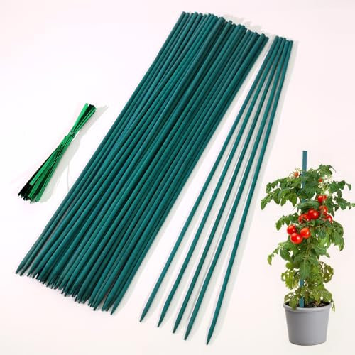 50 Pack Plant Support Sticks 30cm – Bamboo Sticks for Plants with 50 Twist Ties, Green Plant Stakes Garden canes, Durable Plant Sticks for Flowers Floral Plant