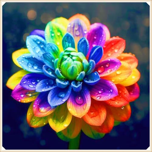 Rapid Growth Dahlia tubers Hardy Perennial,Ornamental Flowers,Garden Flowers,Wedding Flower-2bulbs-f