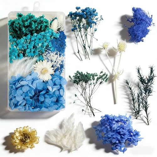 Trockenblumen zum Basteln Trockenblumen Klein Getrocknete Blumen Deko | Blumen Deko Set für DIY Basteln Handwerk Epoxidharz Scrapbooking Deko（Blau）Valentinstag Geschenk