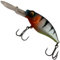 Westin BuzzBite Crankbait Suspending - Wobbler, Länge/Gewicht:6cm / 10g, Farbe:Didis Crazy Perch