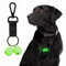 Campanelli per collare per cani, campanelli luminosi extra forti per cani e gatti, per tracciare e salvare animali selvatici e uccelli, campanelli in rame resistenti. (Razza di grandi dimensioni)