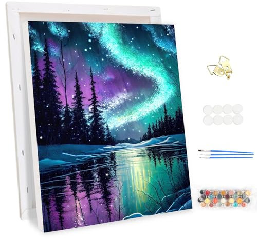 MEIYUDA Peinture par Numero Adulte avec Cadre, Les aurores boréales Kit de Peinture à l'Huile sur Toile par Numéro, Débutants Peinture Acrylique Pigmentée, Decoration Maison Cadeau 30x40cm