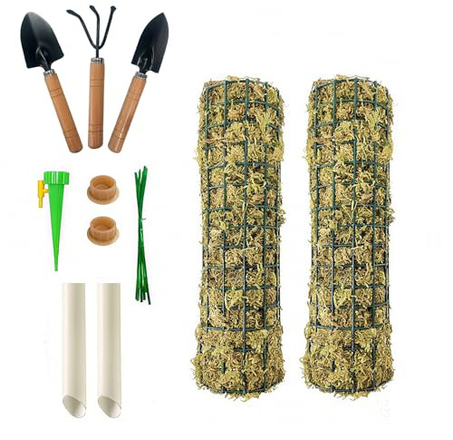 Moosstab für Monstera Rankhilfe, Rankhilfe Zimmerpflanze, Moosstab, Pflanzenstütze, Moss Pole, Kletterhilfe Zimmerpflanzen,2 Stück pro Packung, je 28cm