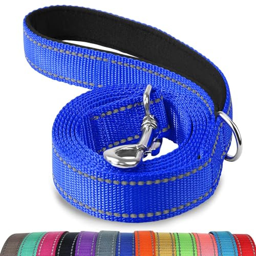 Joytale Padded Handle Dog Lead, Double-Sided Reflective Nylon Leads for Training, Walking Leash for Small, Medium Dogs, 1.2m × 2cm, Navy Blue