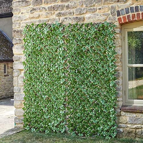 Ivy Leaf Trellis 180 x 60cm Garden Decor