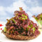 50 Piezas Cama Elevada Con Semillas De Lechuga - Lactuca Sativa - Semillas De Lechuga Cortadas, Semillas De Cobertura Del Suelo, Semillas De Hortalizas Para Balcón. Recogiendo Lechuga,