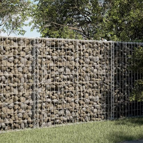 QJBSAVVA Gabione mit Deckel 100x50x100 cm verzinktes Eisen Gabionenkorb Modernes Design Robuste Zaunfelder für Gartengestaltung Sichtschutz und Deko im Außenbereich