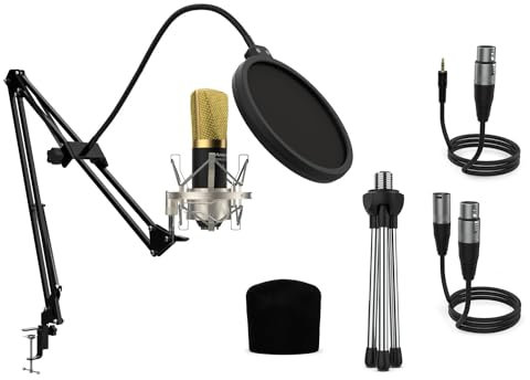 Audibax Berlin 1800 Gold Pro - Microfono a Condensatore da Studio - Include Supporto, Anti-pop e Cavi - Risposta in Frequenza 20 Hz/20 KHz - Microfono con Schema Polare Cardioide - Colore Dorato