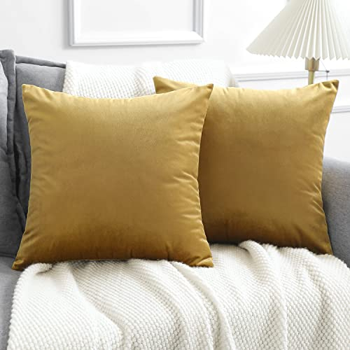 JOTOM 2er Set Samt Kissenbezug Dekorativ Kissenüberzug Weiche Kissenhülle Sofakissenbezug Sofakissen Dekokissenbezug für Bett Sofa Büro Wohnzimmer Schlafzimmer (45 x 45 cm, Gold)