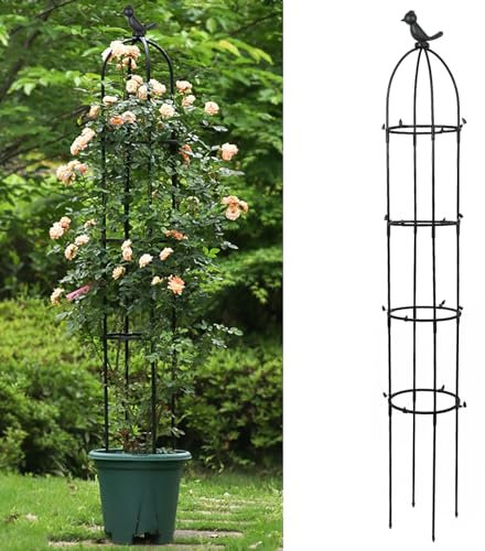 Garten Rankhilfe,Pflanzen-Klettergerüst, Pflanze Unterstützung Stand,Klettern Rahmen Pflanzenkäfige,Blumenständer,Ständer zur Modellierung von Pflanzen für Grünpflanzen, Pfingstrosen, Hortensien (A)