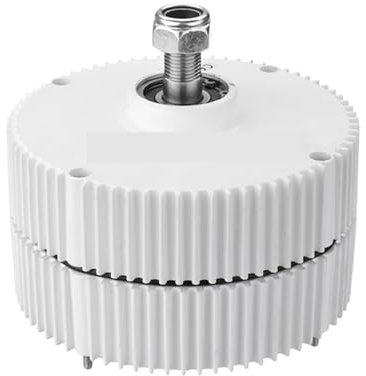 QZCX Turbina Eolica, 1000W 12V 24V 48V Generatore a Magnete Permanente a Basso Numero di Giri Turbina eolica Fai-da-Te 1KW Piccolo alternatore Uso for la casa agricola(No Base,Single Shaft_12V_1000W)