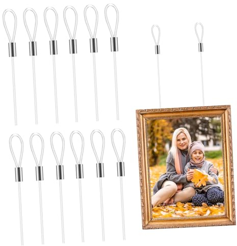 TEHAUX Ligne Suspendre en Nylon Argenté 12 Pièces, Boucles Double Extrémité | Cimaise, Cadre Photo en Fil de Fer, Fil Suspendre pour Tableau, Robustesse et Fixation Facile