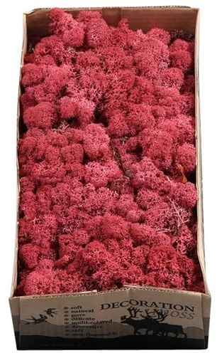 Flowerbox Karton Islandmoos Bordeaux-Rot 500g